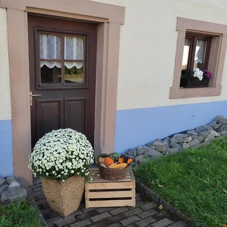 Ebser By Interhome * Todtnau