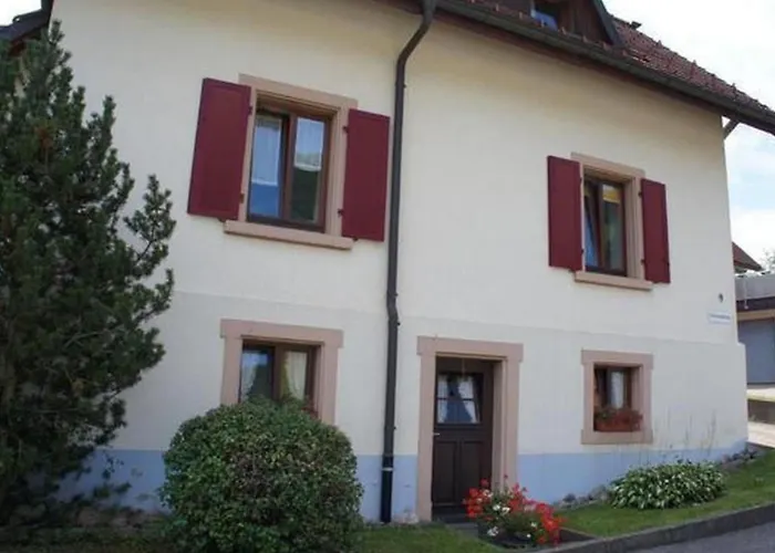 Ebser By Interhome * Todtnau